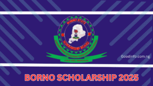 Borno state scholarship 